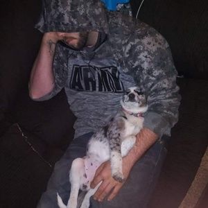 Meet your Posher, Brandon